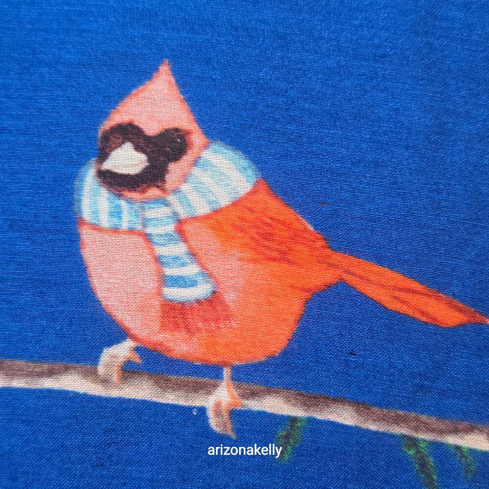 Talbots Winter Weather Birds Scarf Vicose/Silk Blend Birders Birdwatching - Picture 5 of 13